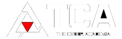 The Cyber Academia